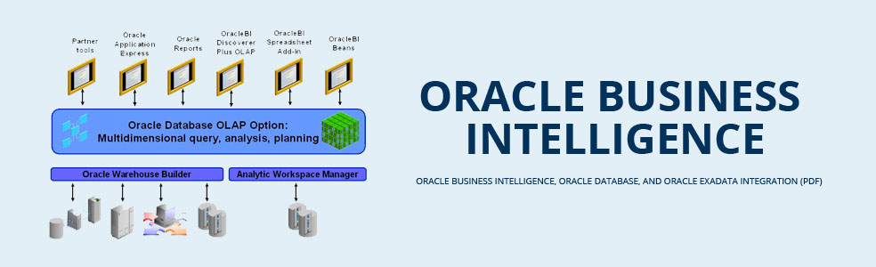 Oracle Business